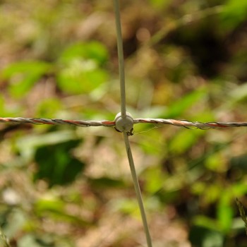 EuroNetz Wildschwein Netz, weiß