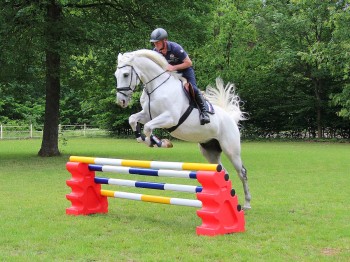 Horseblock aus Kunststoff Rot