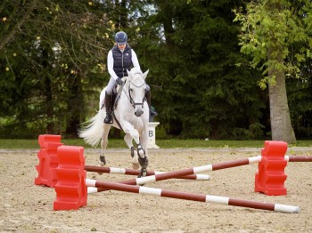 Horseblock aus Kunststoff Rot