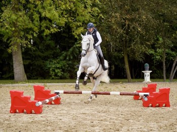 Horseblock aus Kunststoff Rot