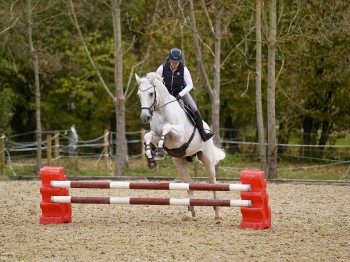 Horseblock aus Kunststoff Rot