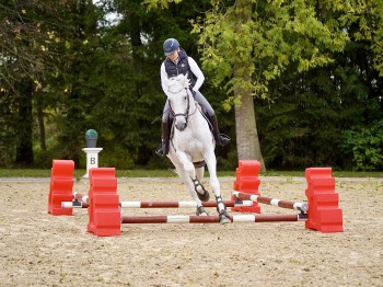 Horseblock aus Kunststoff Rot