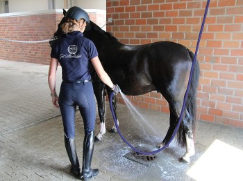 Pferdeabspritzdusche Variabel